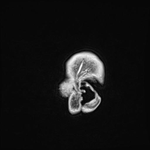 Click on the Serie image to view the images of VILLANUEVA, WILLIAM A.